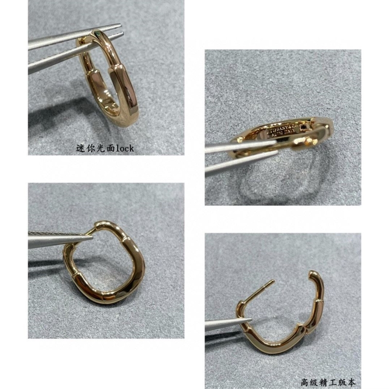 T*f*ny earrings